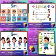 5 senses educational chart for kids Laminated A4