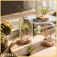 [Lovoski1] Cover Cloche Bell Jar with ,Wedding Parties Decorations Miniatures Craft