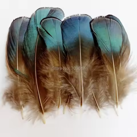 100PCS/LOT 5-8cm BLUE BRONZE Lady Amherst Pheasant Plumage Feathers for Facinators Earrings Hair Fly