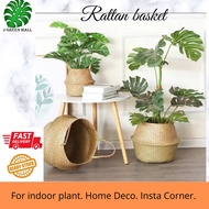 （Ready Stock) Basket Rattan Folding Handle Natural Sea Grass Indoor Plant Bakul Tikar Hiasan dengan alas Pasu Mengkuang