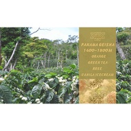 UZU Coffee Bean Panama Geisha Esmeralda Blue Mark Arabica Coffee 227g Light Roast Pourover Coffee Fr