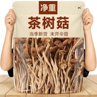 Furuda Bukai Umbrella Tea Tree Mushrooms Dry Goods Fresh Tea Tree Yam Powder Tea Tree Mushrooms20251