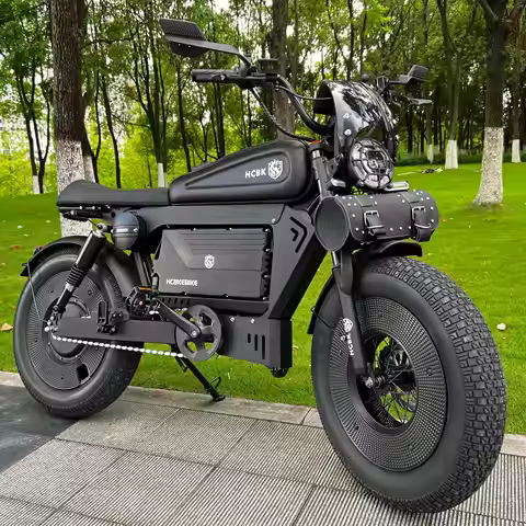 USA Warehouse -SS10 Black Warrior Electric Bike Warrior 60AH Removable Battery 20 Inch Adult Electri
