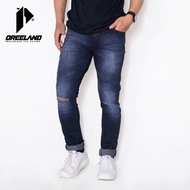 Dreeland Celana Jeans Ripped "Moshi" Biothink