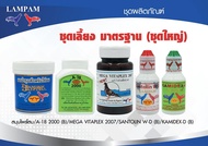 ชุดเลี้ยงไก่ชนมาตรฐานใหญ่ลำปำแท้(2007รุ่นใหม่+โสม+A18เม็ดใหญ่+ซานโตลีนใหญ่+คามิเด็กใหญ่) #ตัวแทนจำหน