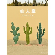 Simulation Plant Cactus Sand Table Fish Tank Landscaping Platform Micro Landscape Desert Plant Model