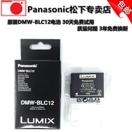 Panasonic DMWBLC12 Original Battery GX8fz1000G5G6G7FZ2500 Shima FP DP3BP51 Camera
