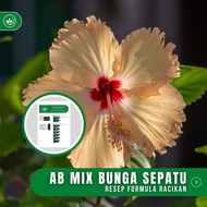 Resep AB Mix Bunga Sepatu Formula Racikan Nutrisi Bunga Sepatu