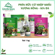 Organic Fertilizer Specializing in Cactus - Succulents, Imported from the Netherlands - Unigreen Hom