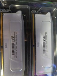 DDR5 32GB(2x16GB) 5200MHz 電腦記憶體