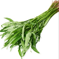 Biji kangkung / kangkung seed 100g