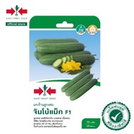 70Biji Benig Timun Batang Jumbo Max F1 / Cucumber 🥒 Jumbo Max / Timun Besar /East West Seed / Cap Pa