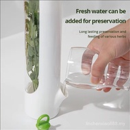 HERB KEEPER FOR CILANTRO SCALLION | AIRTIGHT FRIDGE VEGETABLE STORAGE BOX | TRANSPARENT PREP CONTAIN