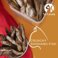 [SiAnak-Ready Stock] Freeze dried SHISHAMO FISH Capelin Fish 冻干多春鱼 10g test