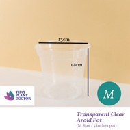 Transparent Clear Aroid Pot (M Size / 5 inches pot) (Diameter 13cm / Height 12cm)