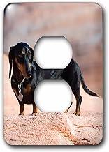 3dRose (lsp_258275_6) 2 Plug Outlet Cover Doxen, Lake Powell, MR