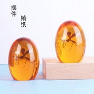 Mosquito Decoration Ball Decoration Crafts Manufacturer Supply Printing 2D Resin Mosquito Creative O