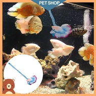 Sp Resin Betta Stick Fish Tank Supply Fish Tank Training Teaser Wand Toy Realistic