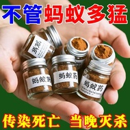 Powerful Ant Medicine Whole Nest Household Non-Indoor Kitchen Outdoor Dish Killing Ant Compressed To