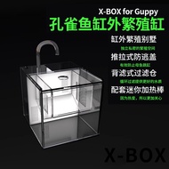 Mini Aquarium Set / Mini Aquarium Fish Tank Set Lengkap 鱼缸 自循环 孔雀鱼繁殖盒B11