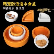 Reptile Anti-Escape Food Bowl Reptile Pet Lizard Gecko Mane Lion Bread Barley Worm Sterile Ceramic W