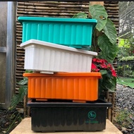 Rectangular Plastic Vegetable Pot 48x20x17Cm