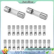 HJ-20 x 250 V 2A F2AL Quick F link Glass tube fuse 5 mm x 20 mm