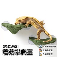 [Yuanyou] Mushroom Climbing Platform Tree Frog Eyelashes Gecko Hiding House Sunning Platform Suspend