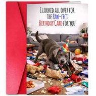 1pc,Funny Birthday Card For Men, Husband, Him, Dad, Mom, Her, Women, Wife – Paw-Fect Dog Birthday Ca