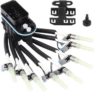 Spider Fuel Injector FJ504 8 Cylinder Fit for Chevrolet GMC Pickup Truck P30 Suburban Chevy Express 