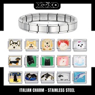 Pet Animal Charm Bracelet Italian Charm, Italian Charm Bracelet Stainless Steel