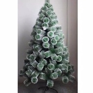 Tree only 1. super premium2M (4 feet)