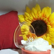 EMAS 916 - SUBANG CHANNEL 916