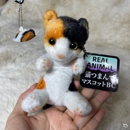 Cat Keychain Doll Virtual Reality Three-Color Second-Hand Authentic Licensed Lifelike Animal Real Pl