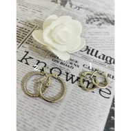 Stainless Steel loop earrings