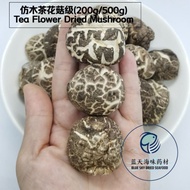 仿木茶花菇 Tea Flower Mushroom Size : 3-4CM / 4-5CM (200g/500g)