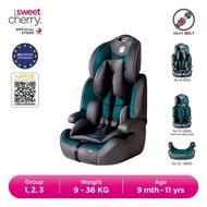 Sweet Cherry Forward Facing High-Back Baby Booster Car Seat 9 months to 11 years old LB517 Canyon Ch