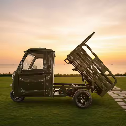 3000W 45km/h 3 Wheel Motorcycle EEC COC CE DOT 1000KG Electric Enclosed Tricycle
