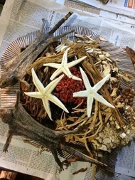 Minh mạng thang 220k/1 gói 1.8kg