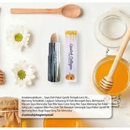 LIPSTICK COLLAGEN DHERBS original dri hq