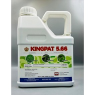 Kingpat 4 Liter Glufosinate-Ammonium 5.66% (Same As Buick 5.66 Rainpat 566 Tepat) Racun Rumpai Rumpu