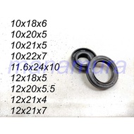 Oil Seal 10x18x6, 10x20x5, 10x21x5, 10x22x7, 11.6x24x10, 12x18x5 ,12x20x5.5, 12x21x4, 12x21x7