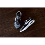 Nike Air Max SC Cool Gray Phantom Anthracite