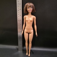 Barbie mattel barbie fashionistas barbie preloved