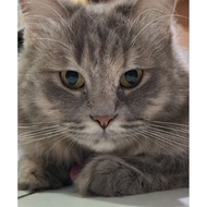 PRINT 2R SIZE POLAROID PHOTOS photo album polaroid album