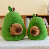 Cuddly Corner 35/45cm Capibara รุ่นระเบิด คาปิบาลา ของเล่นตุ๊กตา อะโวคาโด ของขวัญสำหรับเด็กผู้หญิง ป