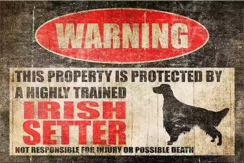 Irish Setter Sign No Trespassing Funny Dog Warning Beware of Yard Welcome Dec