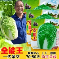 Chinese Cabbage Seeds Shandong Gum Zhou Cabbage Seeds Mixed New Products Cabbage Anti-disease High-p