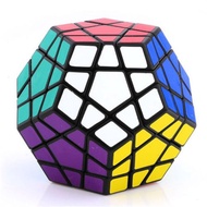 ShengShou Magic cube Megaminx