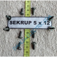 5X12 MOTORCYCLE SCREWS